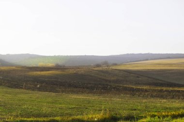Açık bir gökyüzüne karşı farklı renklerde sonbahar tepeleri.