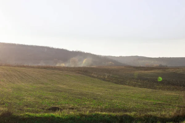 Grün gepflügte Wiese auf einem Hintergrund von Hügeln mit einem Dunst. — Stockfoto