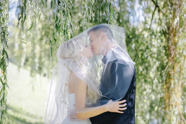 Nygifta kyss under en slöja på bakgrunden willow — Stockfoto