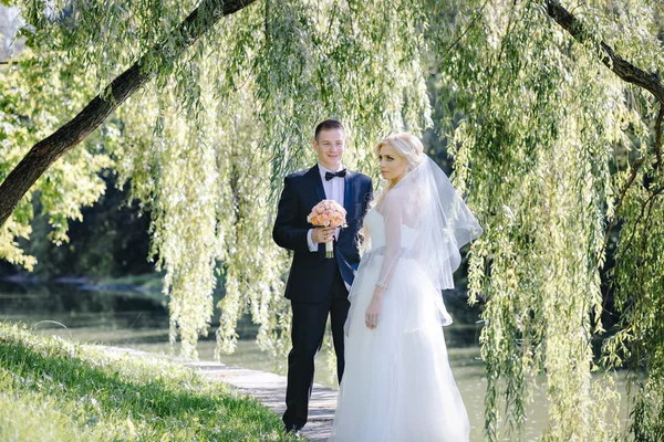 Frischvermählte im Park unter einer Weide — Stockfoto