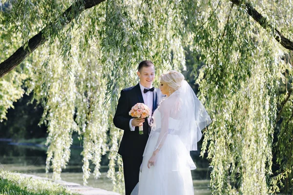 Frischvermählte im Park unter einer Weide — Stockfoto