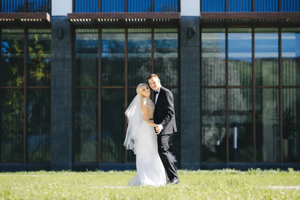 Bruiloft fotoshoot op een achtergrond van ramen — Stockfoto