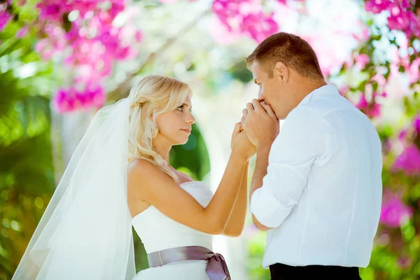 Esküvői fotózást, Ciprus — Stock Fotó