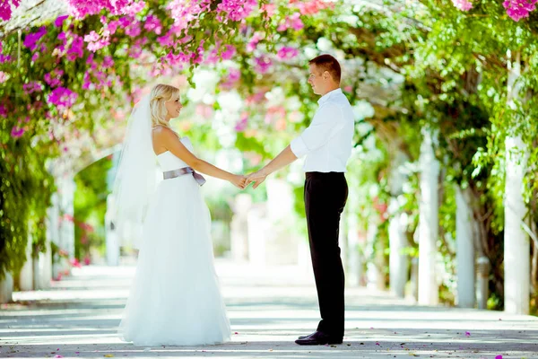 Bröllop fotosession i Cypern — Stockfoto