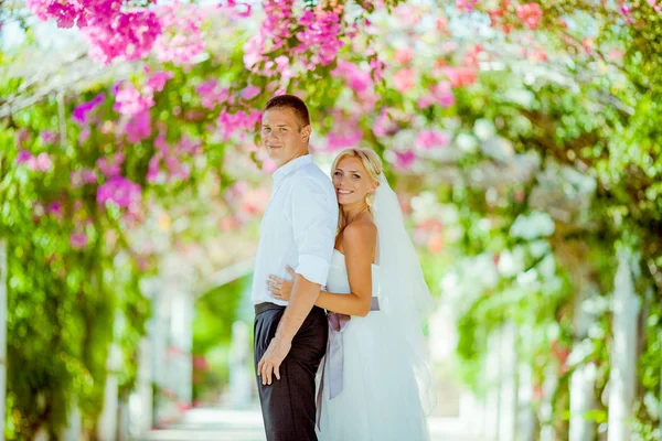 Hochzeitsfotosession auf Zypern — Stockfoto