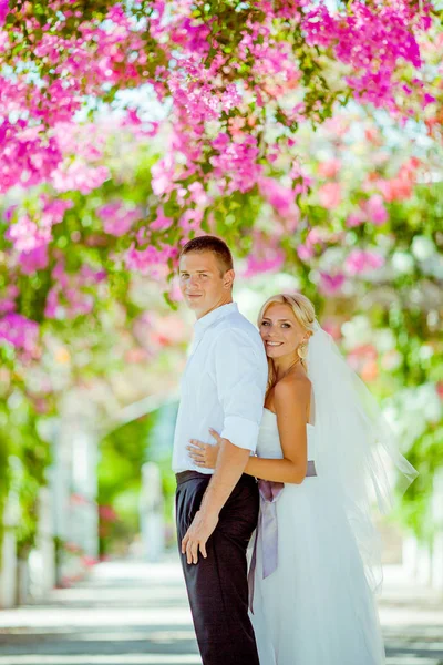 Esküvői fotózást, Ciprus — Stock Fotó