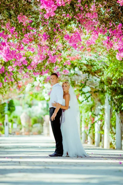 Wedding photo session in Cyprus