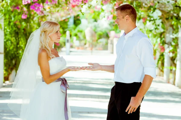 Wedding photo session in Cyprus — Stock Photo, Image