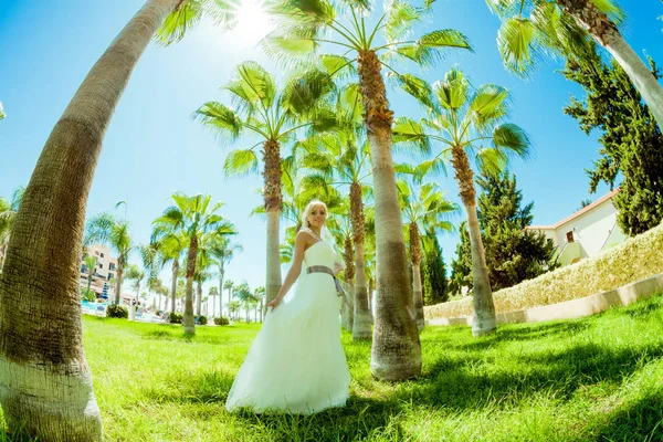 Fotos de boda entre las palmeras —  Fotos de Stock