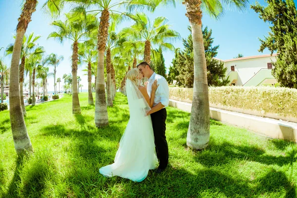 Huwelijksfoto's onder de palmbomen — Stockfoto