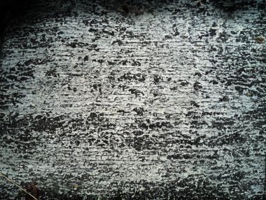 Lekeli siyah-beyaz yapı