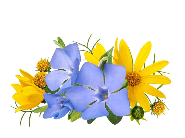Yellow and blue wild primrose flowers bouquet isolated on white — Stock Photo, Image