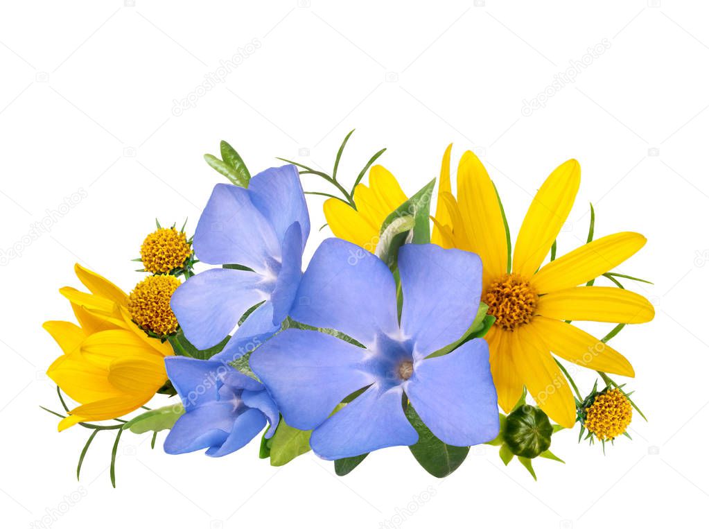 yellow and blue wild primrose flowers bouquet isolated on white 