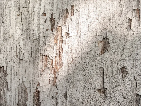 Eski çizilmiş beyaz boyalı ahşap tahtalar arka plan — Stok fotoğraf