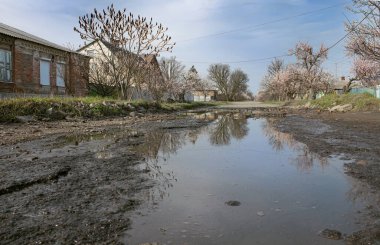 Bahar kırsal caddesi, çiçek açan bahçeler ve bozuk bir yol..