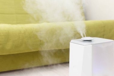 Nemlendirici yeşil kanepeli odada işe yarıyor. İklim sistemleri. Ev mikro iklim kavramı. Metin için boşluk