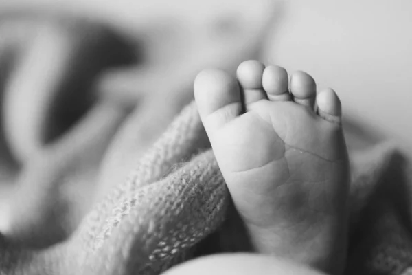 Baby's feet, fingers close up. newborn baby legs, massage concept of childhood, health care, IVF, hygiene — Stock Photo, Image