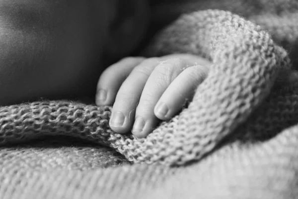 A mão do bebé, os dedos de perto. recém-nascido braços do bebê, conceito de massagem da infância, cuidados de saúde, IVF, higiene — Fotografia de Stock