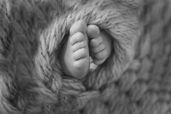 Baby's feet, fingers close up. newborn baby legs, massage concept of childhood, health care, IVF, hygiene — Stock Photo, Image