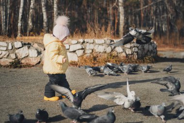 Küçük bir çocuk güvercin kovalıyor. Kuşları besleyen kız. Çocukluk kavramı, sokak oyunları