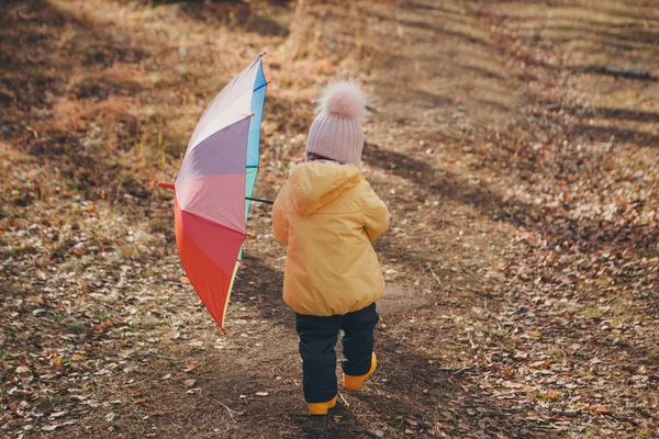 Malé dítě v teplém obleku a s barevným deštníkem procházky v lese. Podzimní park. Koncept dětské módy, doplňky, venkovní procházky — Stock fotografie