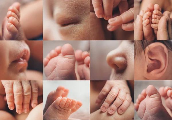 collage of photos: face, legs, hands of a child close-up. concept of childhood, health care, IVF, hygiene, ENT