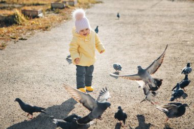 Küçük bir çocuk güvercin kovalıyor. Kuşları besleyen kız. Çocukluk kavramı, sokak oyunları