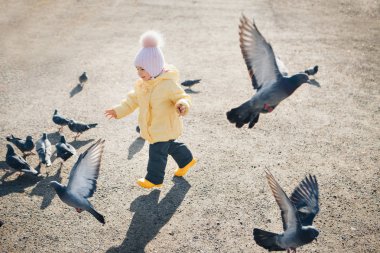 Küçük bir çocuk güvercin kovalıyor. Kuşları besleyen kız. Çocukluk kavramı, sokak oyunları