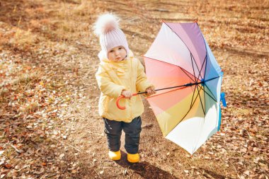 Sıcak takım elbiseli ve renkli şemsiyeli küçük bir çocuk ormanda yürüyor. Sonbahar Parkı. Çocuk modası, aksesuarlar, doğa yürüyüşleri.