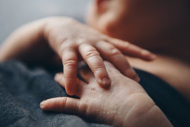 Bebeğin eli, parmaklar kapalı. yeni doğmuş bebek kolları, çocukluk masaj konsepti, sağlık hizmetleri, lvf, hijyen
