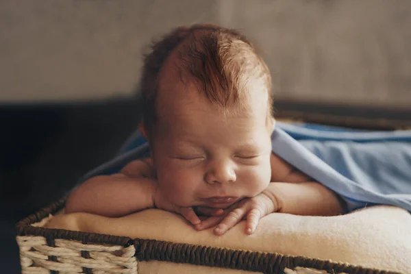 Bebé recién nacido envuelto en una manta durmiendo en una canasta. concepto de infancia, salud, FIV. Foto en blanco y negro —  Fotos de Stock