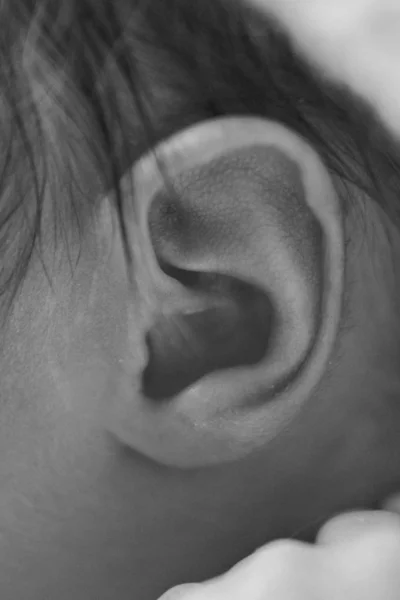 Newborn baby's ear close upconcept of childhood, health care, IVF, hygiene — Stock Photo, Image