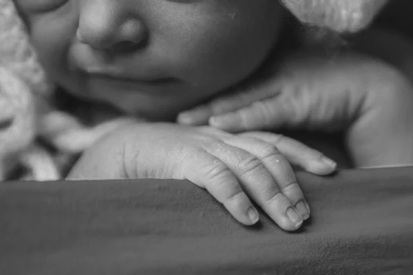 Baby's hand, fingers close up. newborn baby arms, massage concept of childhood, health care, IVF, hygiene — Stock Photo, Image