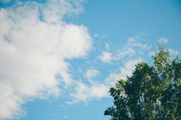 the concept of weather observation, meteorology-the formation of clouds in the sky. Copy space.