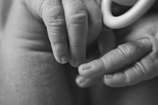 Mano del bambino, dita chiuse. braccia per neonati, concetto di massaggio dell'infanzia, assistenza sanitaria, FIV, igiene — Foto Stock