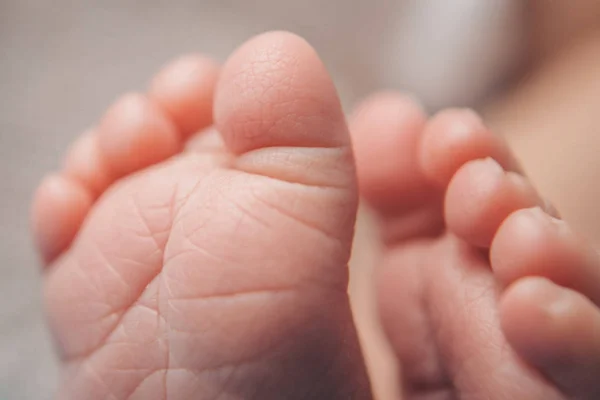 Newborn Baby's feet. legs massage concept of childhood, health care, IVF, hygiene — Stock Photo, Image