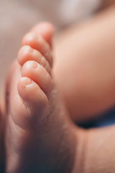 Newborn Baby's feet. legs massage concept of childhood, health care, IVF, hygiene — Stock Photo, Image