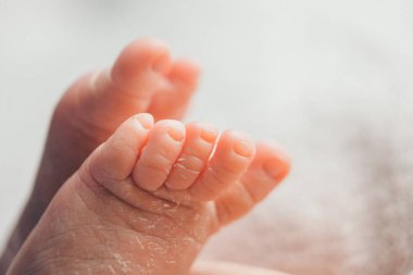 Yeni doğmuş bebek ayakları. bacak masajı konsepti, sağlık hizmeti, lvf, hijyen