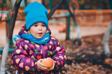 Sıcak giysili kırmızı elmalı küçük bir çocuk ormanda yürüyor. Sonbahar Parkı. Çocuk modası, aksesuarlar, doğa yürüyüşleri.