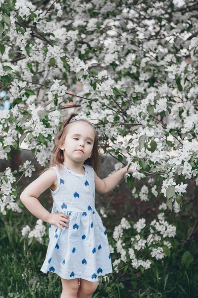 Hermosa chica sosteniendo flores. 8 de marzo: mujer entre flores. el concepto de felicitaciones, vacaciones de mujeres, maquillaje natural — Foto de Stock