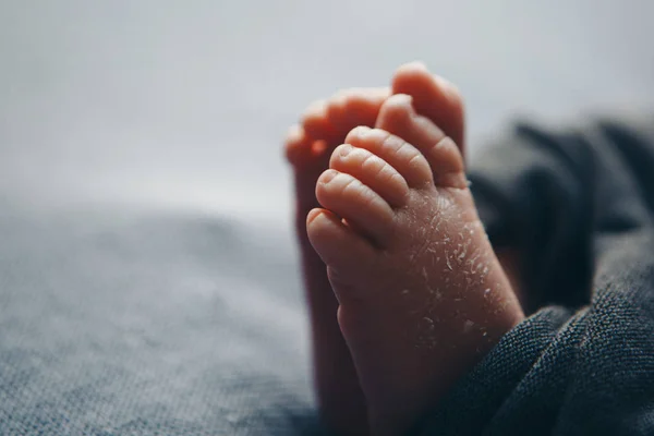 Newborn Baby's feet. legs massage concept of childhood, health care, IVF, hygiene — Stock Photo, Image