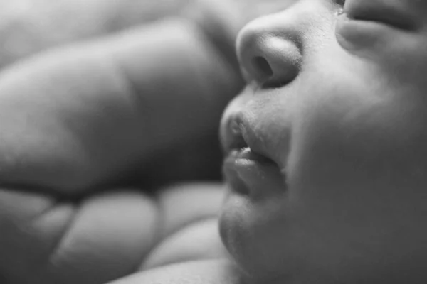 Cara del bebé recién nacido de cerca: ojos, nariz, labios. concepto de infancia, cuidado de la salud, FIV, higiene, ORL —  Fotos de Stock