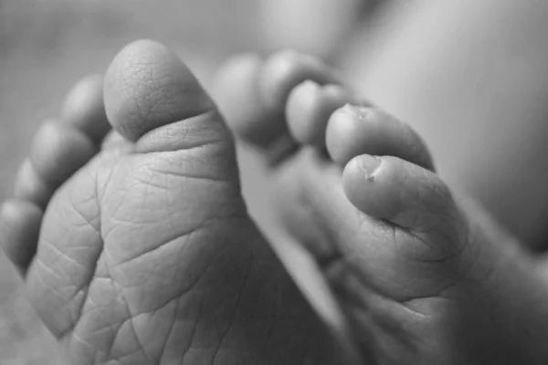 Pasgeboren baby 's voeten. benen massage concept van kindertijd, gezondheidszorg, Ivf, hygiëne — Stockfoto