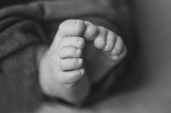 갓 태어난 아기의 발. 다리 마사지 개념 아동기, 건강 관리, 체외 수정, 위생 — 스톡 사진