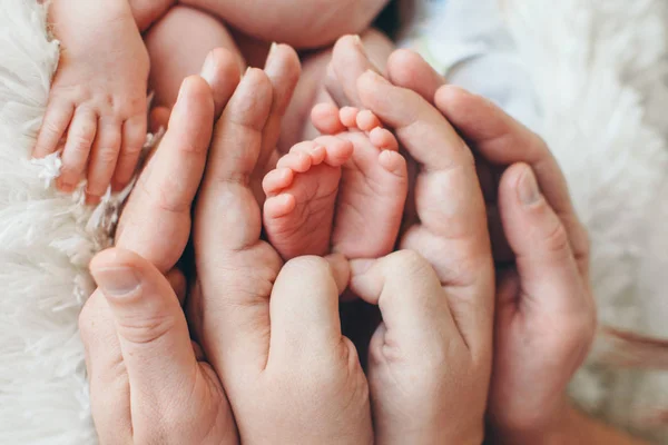 Yeni doğmuş bebek ayakları. Anne ve babanın yeni doğmuş bebek bacakları, bacak masajı konsepti, sağlık sigortası, lvf, hijyen