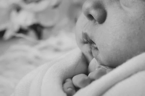 Cara del bebé recién nacido de cerca: ojos, nariz, labios. concepto de infancia, cuidado de la salud, FIV, higiene, ORL —  Fotos de Stock