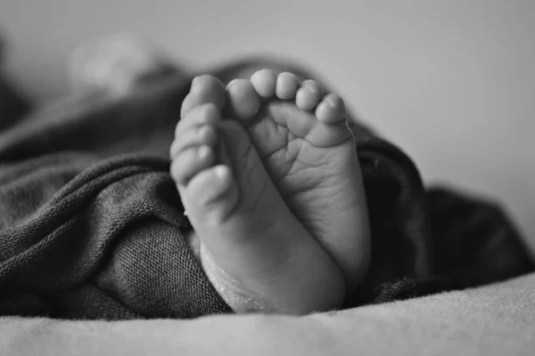 Los pies del bebé recién nacido. masaje de piernas concepto de infancia, cuidado de la salud, FIV, higiene —  Fotos de Stock
