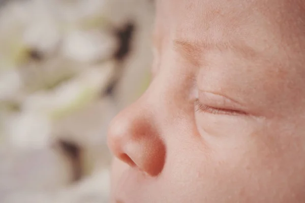 Newborn baby's face close up: eyes, nose, lips. concept of childhood, health care, IVF, hygiene, ENT — Stock Photo, Image