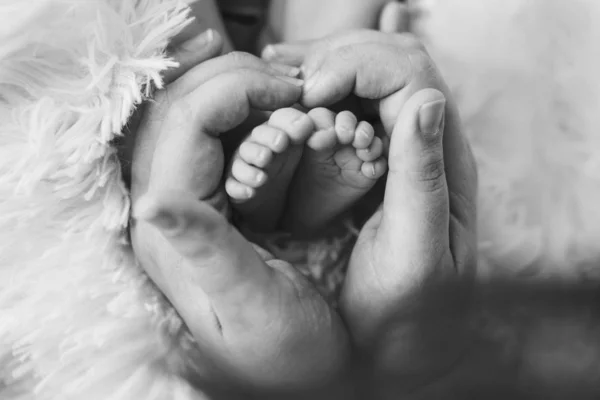 Los pies del bebé recién nacido. Madre y padre sosteniendo las piernas del bebé recién nacido, concepto de masaje de piernas de la infancia, cuidado de la salud, FIV, higiene — Foto de Stock