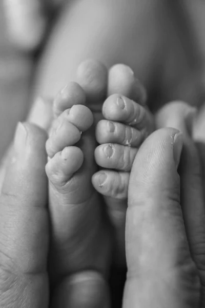 Nyfödda Barnets fötter. Mor och far håller nyfödda ben, ben massage begreppet barndom, hälsovård, Ivf, hygien — Stockfoto